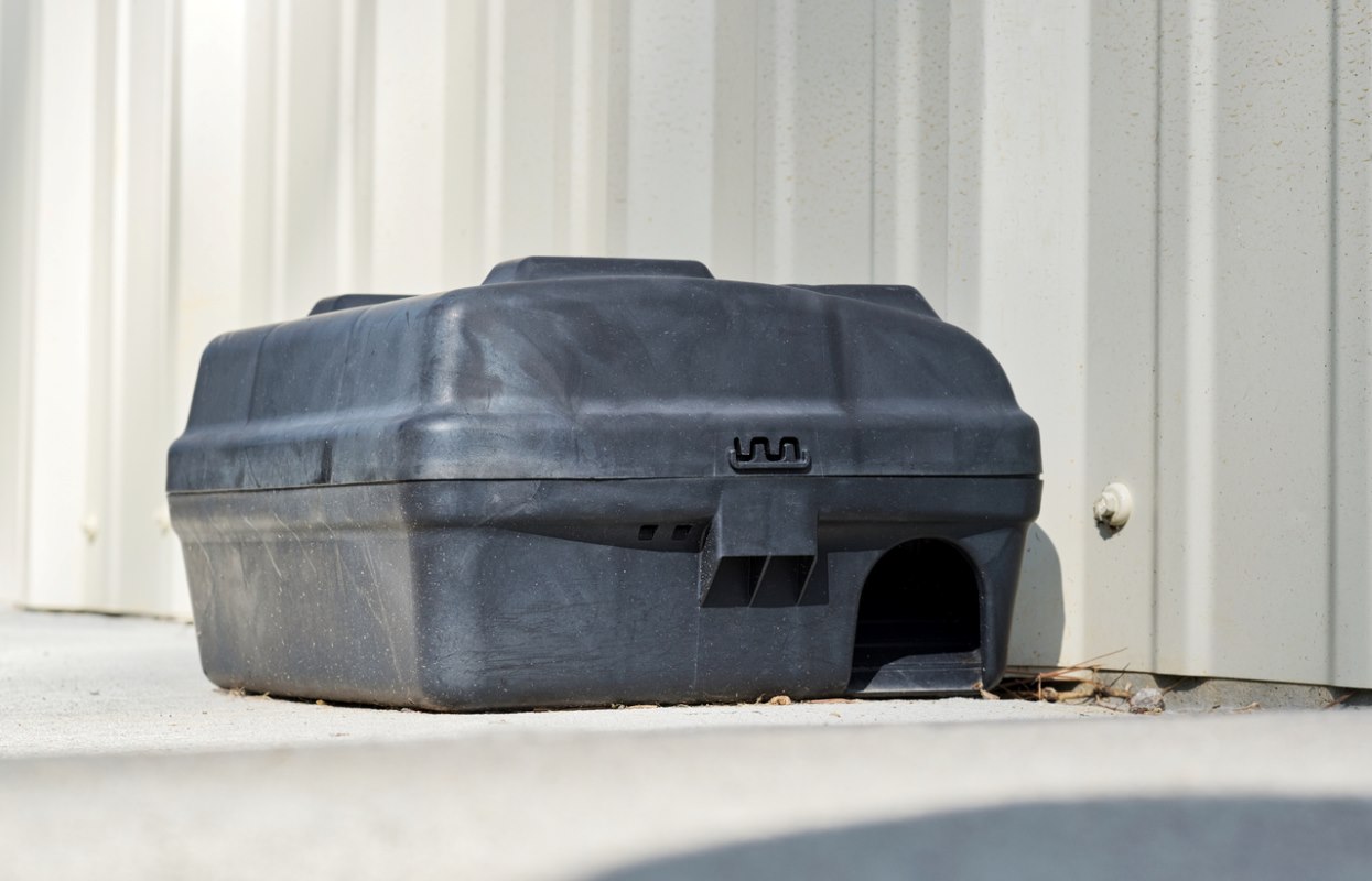 A rodent bait station set up near the walls of a residential property. 