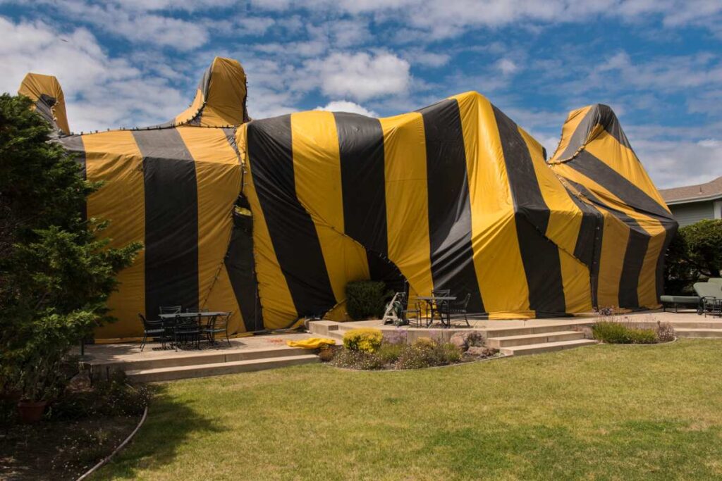 A house covered by a yellow and black tent for fumigation.